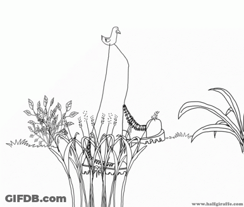 Black And White Drawing Www.halfgiraffe.com GIF