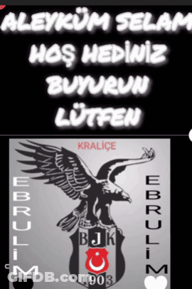 Black And White Eagle With Bjk 1903 GIF