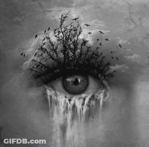 Black And White Eye With Tree Inside GIF