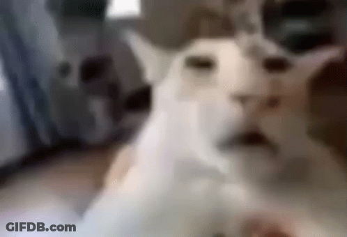 Black And White Face On Computer Screen GIF