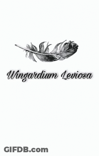 Black And White Feather Wingardium Leviosa GIF