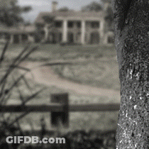 Black And White Fence And House GIF