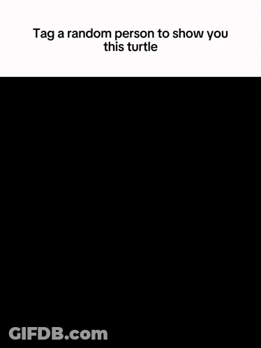 Black And White Fish Tag A Random Person GIF