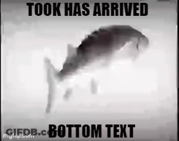 Black And White Fish Took Has Arrived Bottom Text GIF