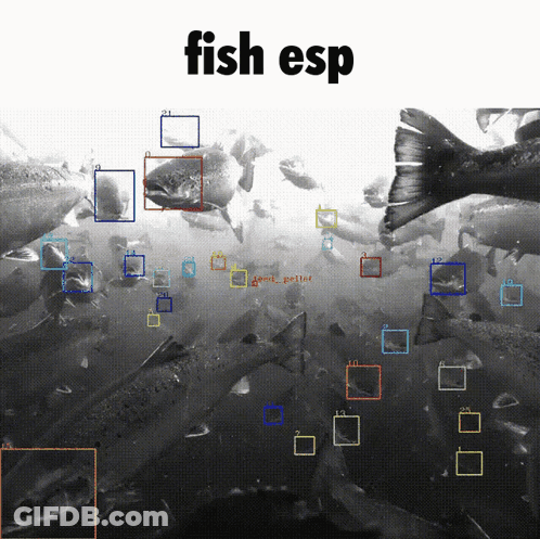 Black And White Fish With Fish Esp GIF
