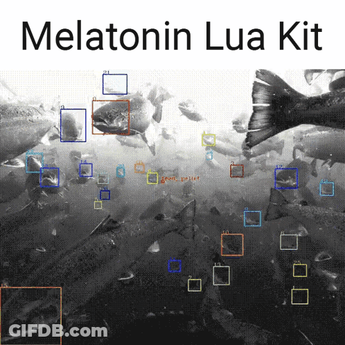 Black And White Fish With Melatonin Lua Kit GIF