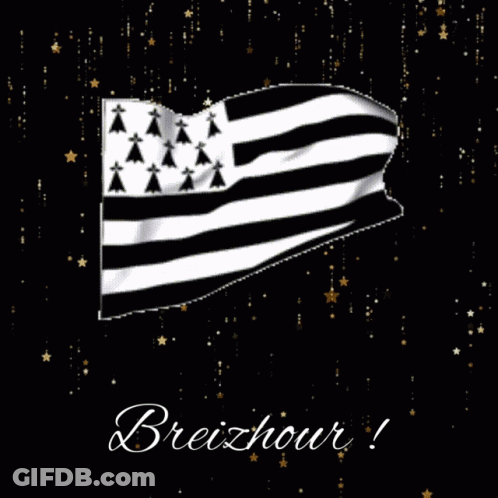 Black And White Flag With Breizhhour GIF