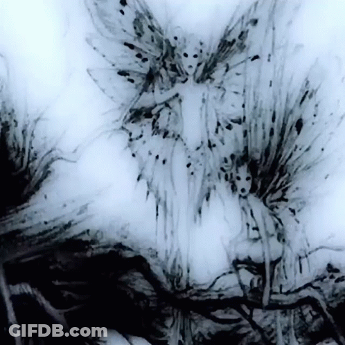Black And White Flower With Wings GIF