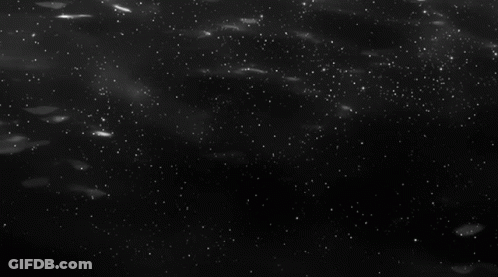 Black And White Flowers Floating GIF