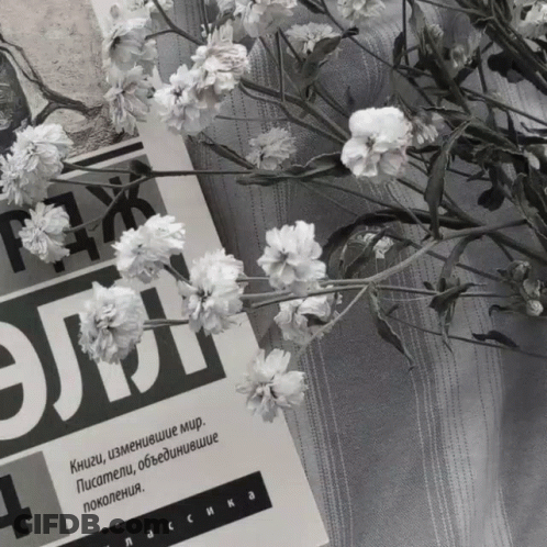 Black And White Flowers Next To Book Книги GIF