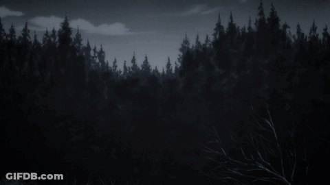 Black And White Forest With Trees GIF