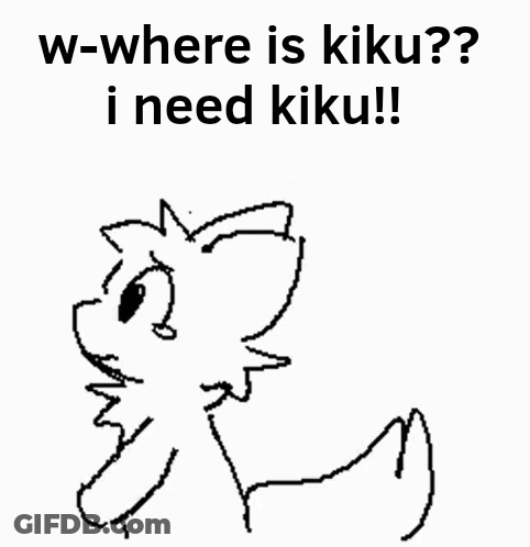 Black And White Fox Saying Where Is Kiku GIF