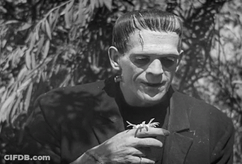 Black And White Frankenstein Holding Spider GIF