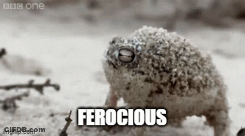 Black And White Frog Saying Ferocious GIF