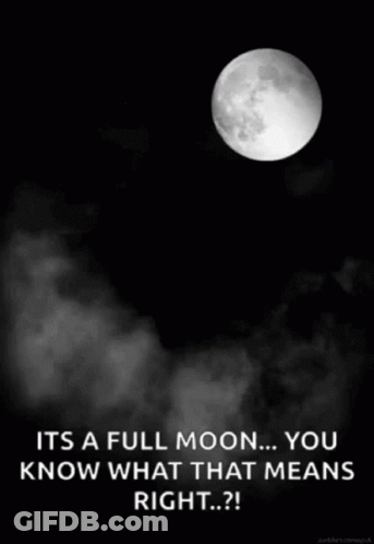 Black And White Full Moon It's A Full Moon You Know What That Means Right GIF