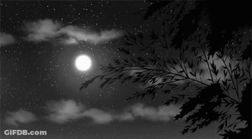 Black And White Full Moon GIF