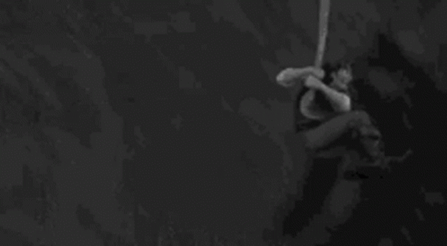 Black And White Funny Flynn Rider GIF