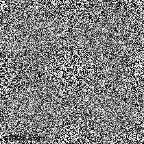 Black And White Grainy Texture GIF