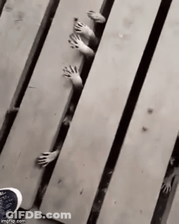 Black And White Hands Sticking Out Of Wooden Plank GIF