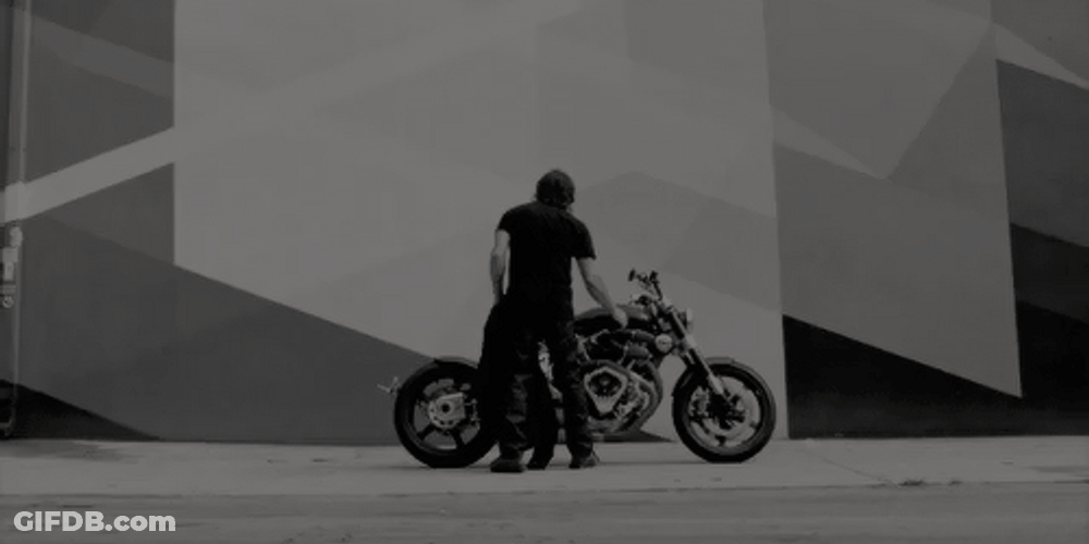 Black And White Hog Rider Park GIF