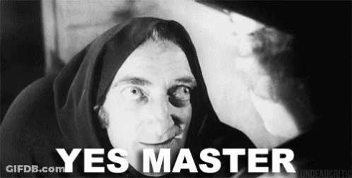 Black And White Hooded Man Saying Yes Master GIF