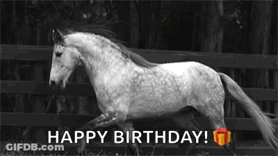 Black And White Horse Running Happy Birthday GIF