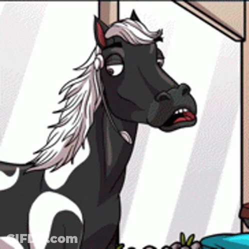 Black And White Horse Standing GIF