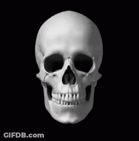 Black And White Human Skull With Teeth GIF