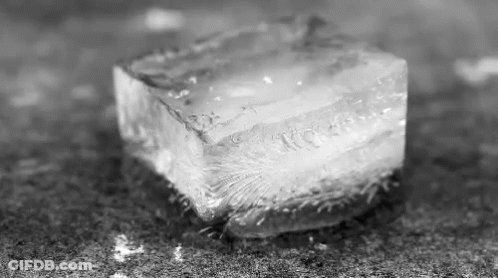 Black And White Ice Cube GIF