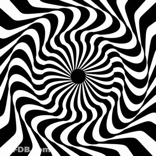 Black And White Illusion Swirl GIF