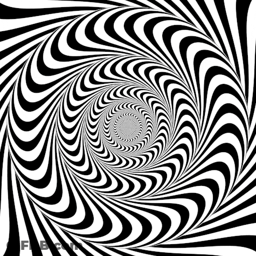 Black And White Illusional Spiral Loop GIF