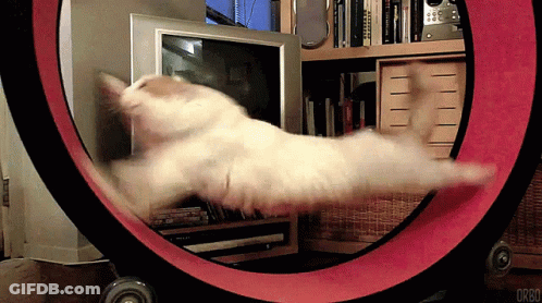 Black And White Infinite Loop Drawing GIF