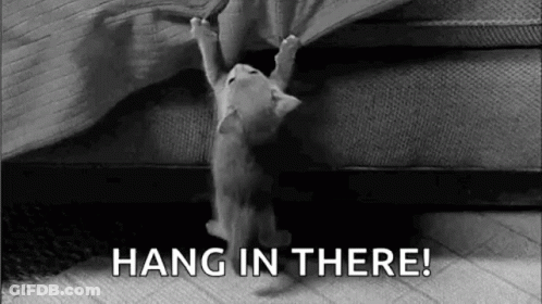 Black And White Kitten Hanging On Bed GIF