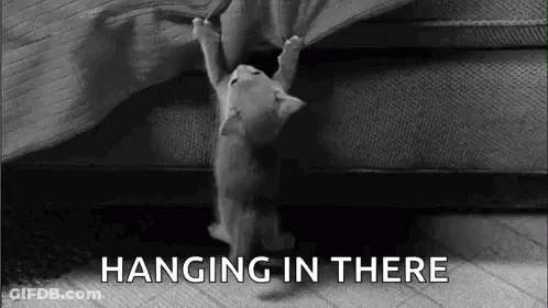 Black And White Kitten Hanging On Couch GIF