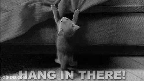 Black And White Kitten Hanging On Couch Saying Hang In There GIF