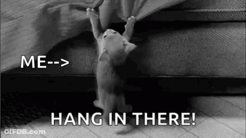 Black And White Kitten Hanging Upside Down From Couch GIF