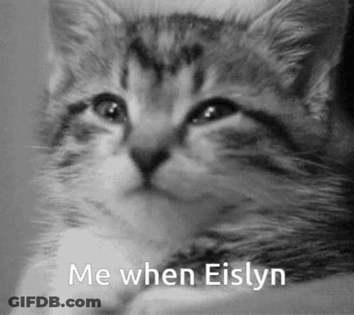 Black And White Kitten Me When Eislyn GIF
