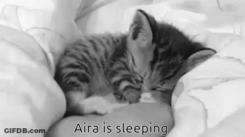 Black And White Kitten Sleeping Aira Is Sleeping GIF
