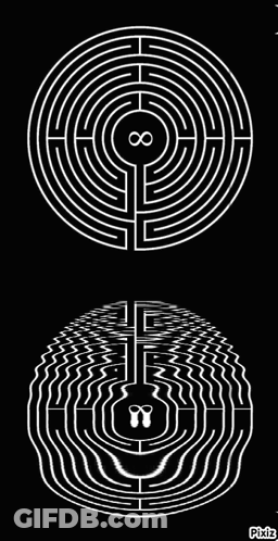 Black And White Labyrinth GIF