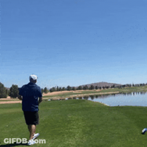 Black And White Lion Doesn't Listen To Psychiatrist GIF