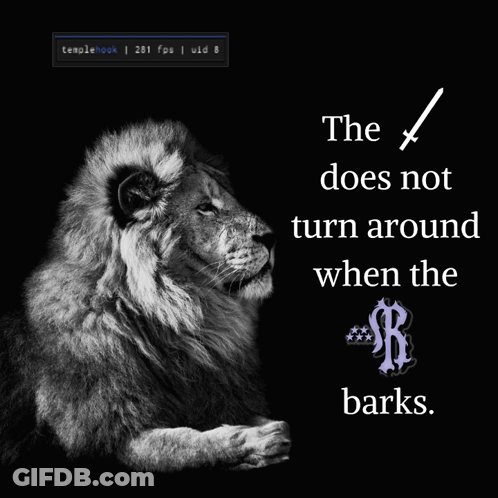 Black And White Lion Doesn't Turn When Barks GIF