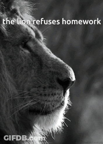 Black And White Lion The Lion Refuses Homework GIF
