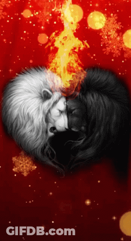 Black And White Lion With Fire On Head GIF