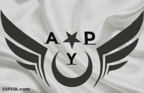 Black And White Logo A P Y GIF