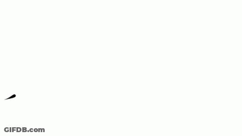 Black And White Logo Saying Care GIF