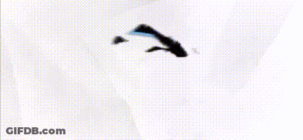 Black And White Logo With Lightning Bolt And Elephant GIF