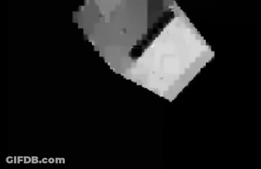Black And White Man How Precious GIF