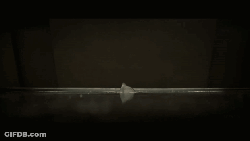 Black And White Man In Pool GIF