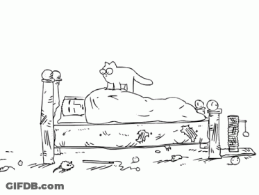 Black And White Man Laying On Bed With Cat GIF