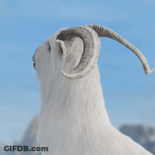 Black And White Man Lets Breed GIF